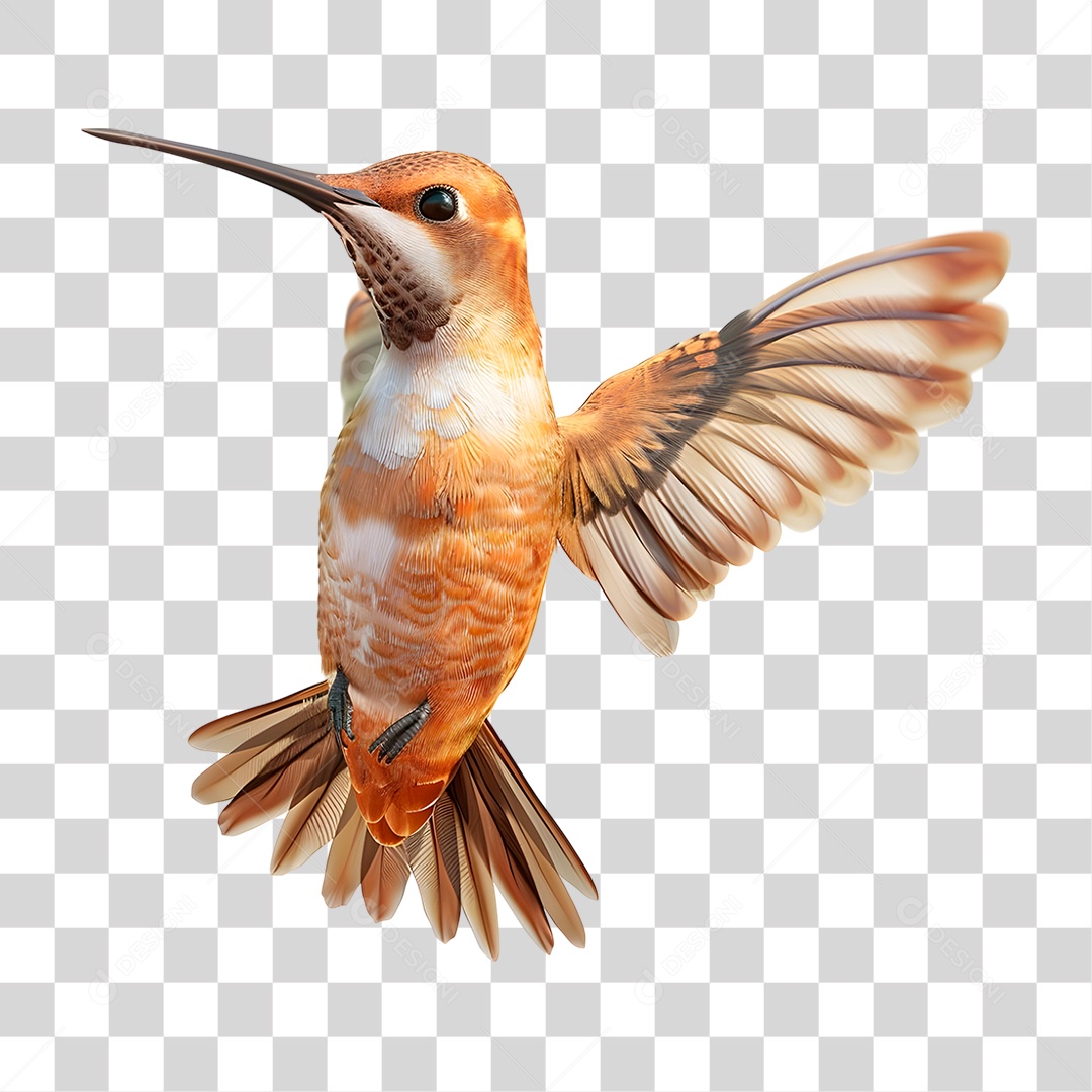 Beija-flor PNG Transparente