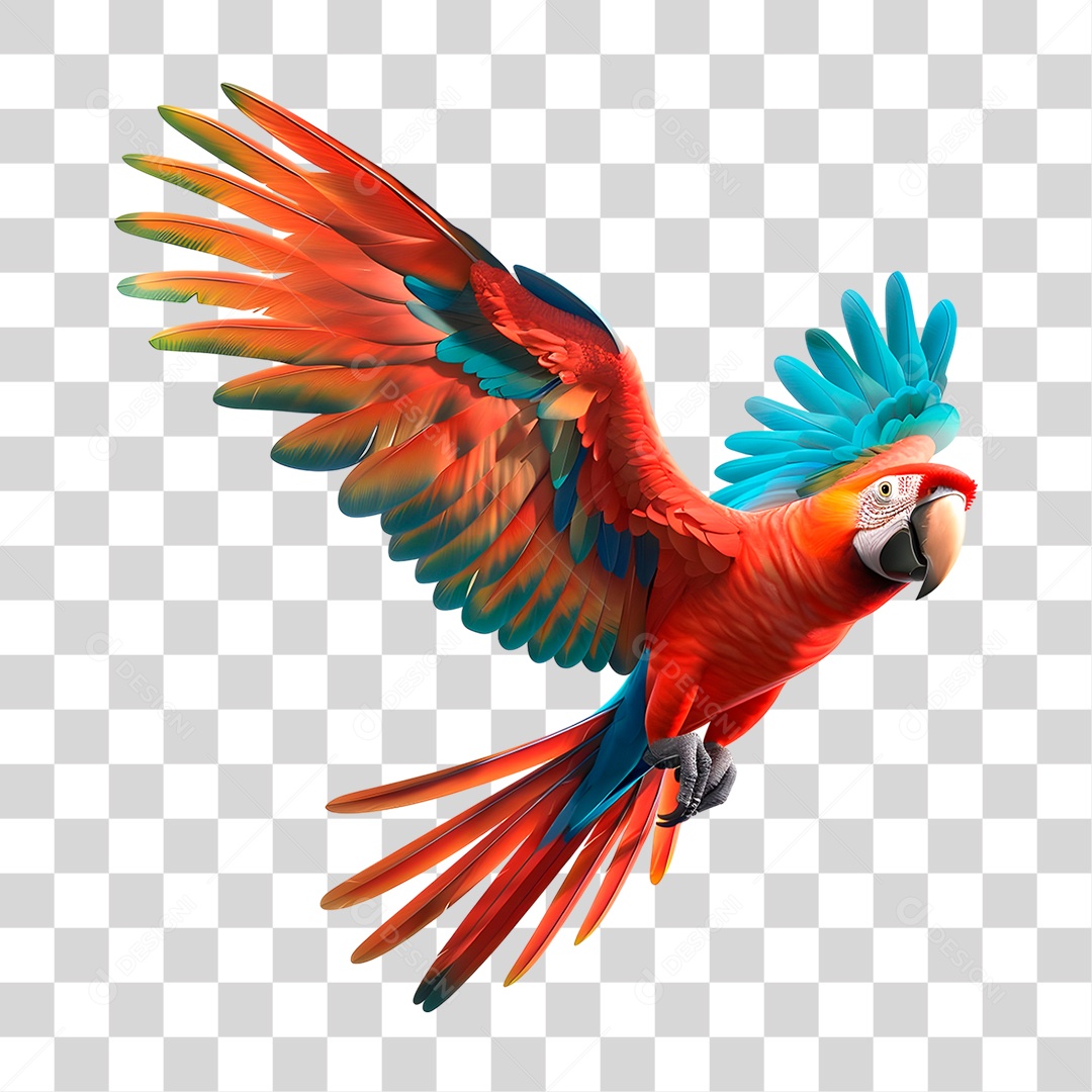 Arara PNG Transparente