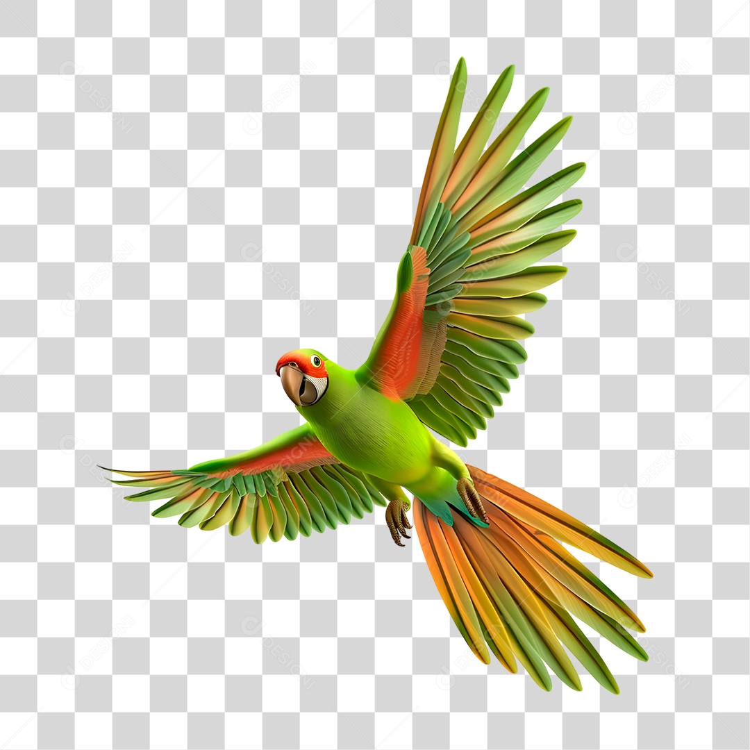 Arara PNG Transparente