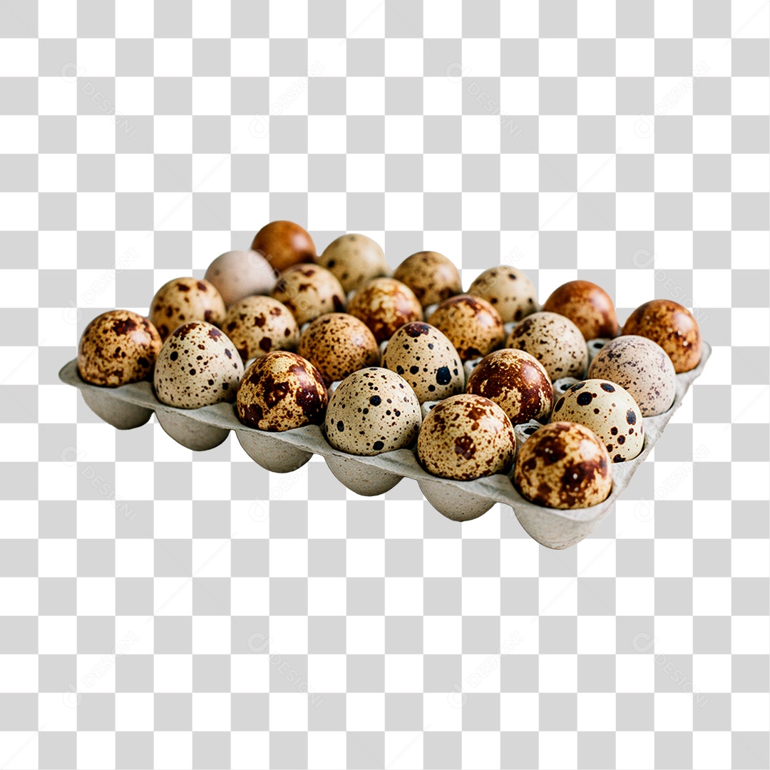 Cartela com Ovos de Codorna PNG Transparente