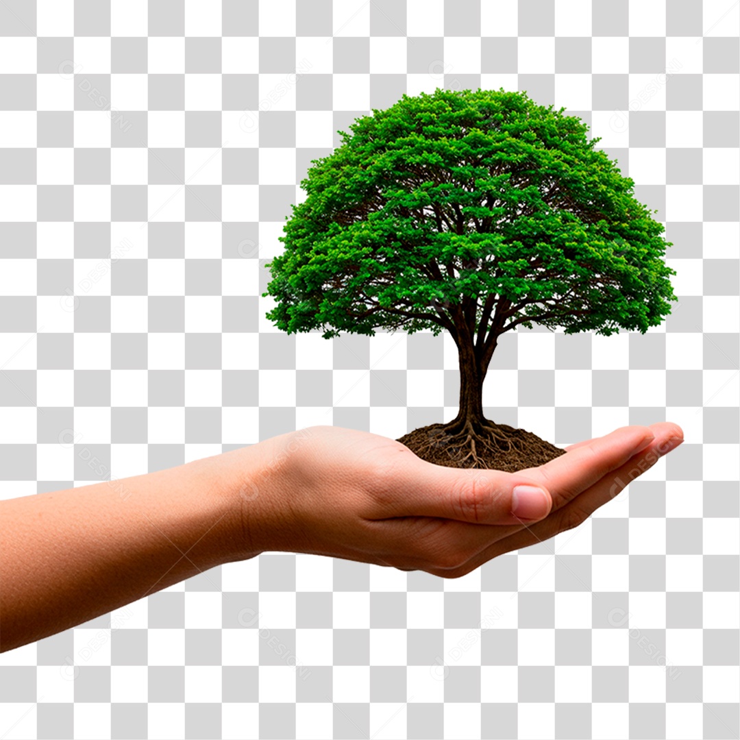 Mão Segurando Planta PNG Transparente