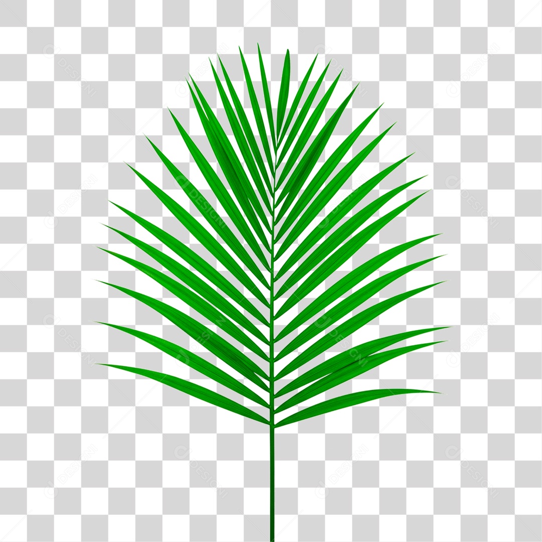 Palha Verde PNG Transparente