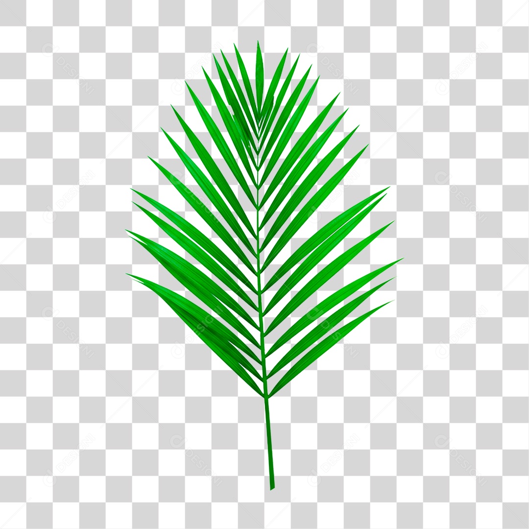 Palha Verde PNG Transparente