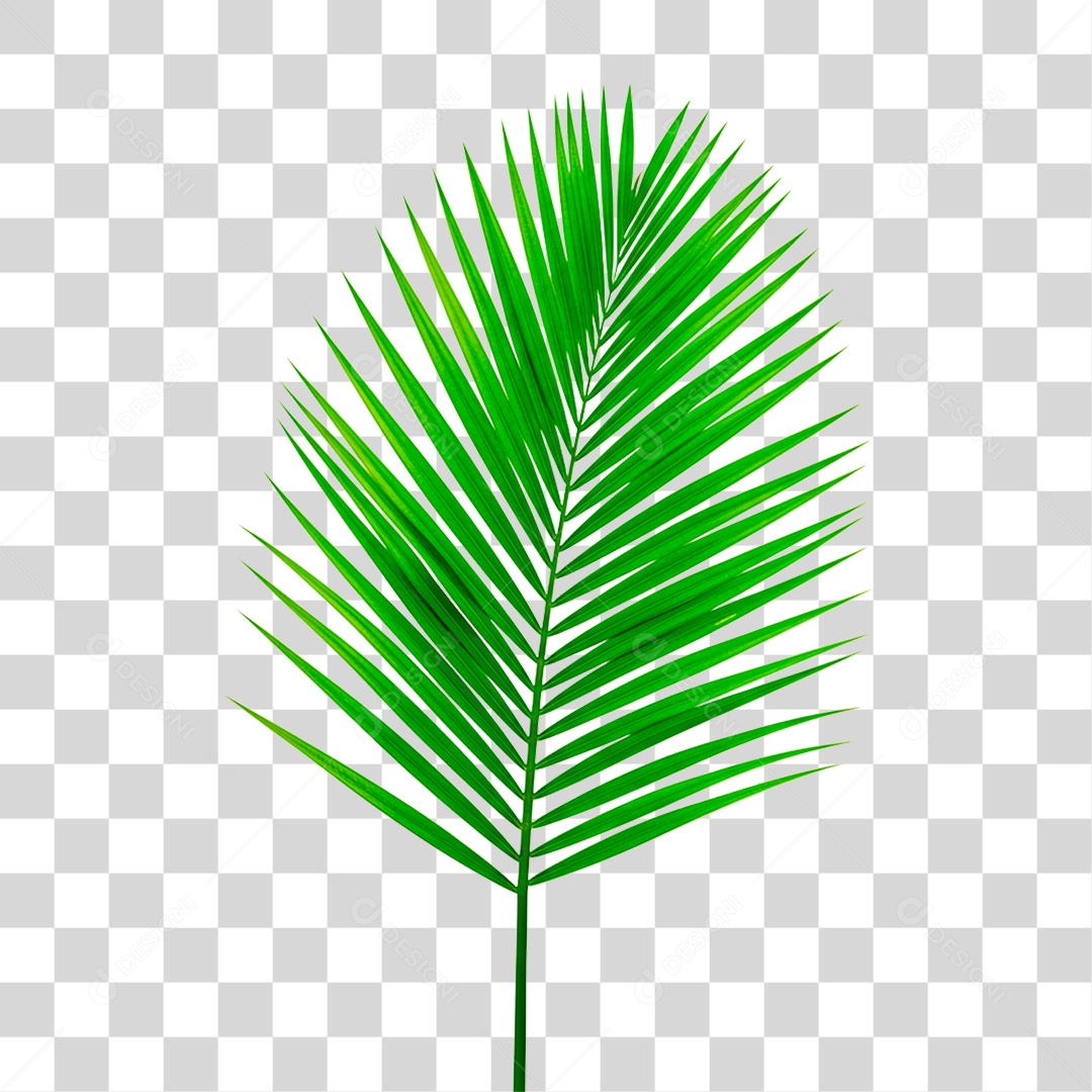 Palha Verde PNG Transparente