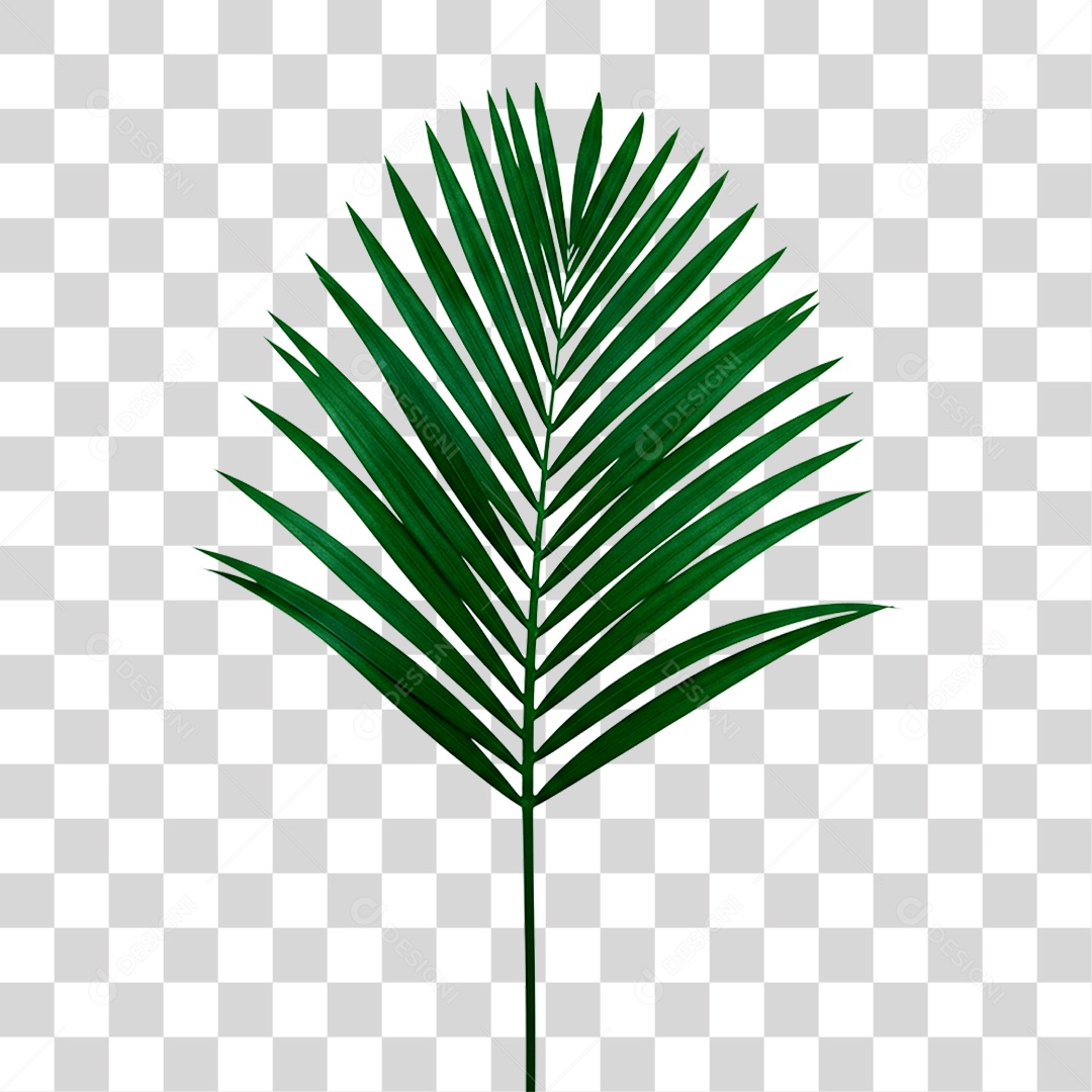 Palha Verde PNG Transparente