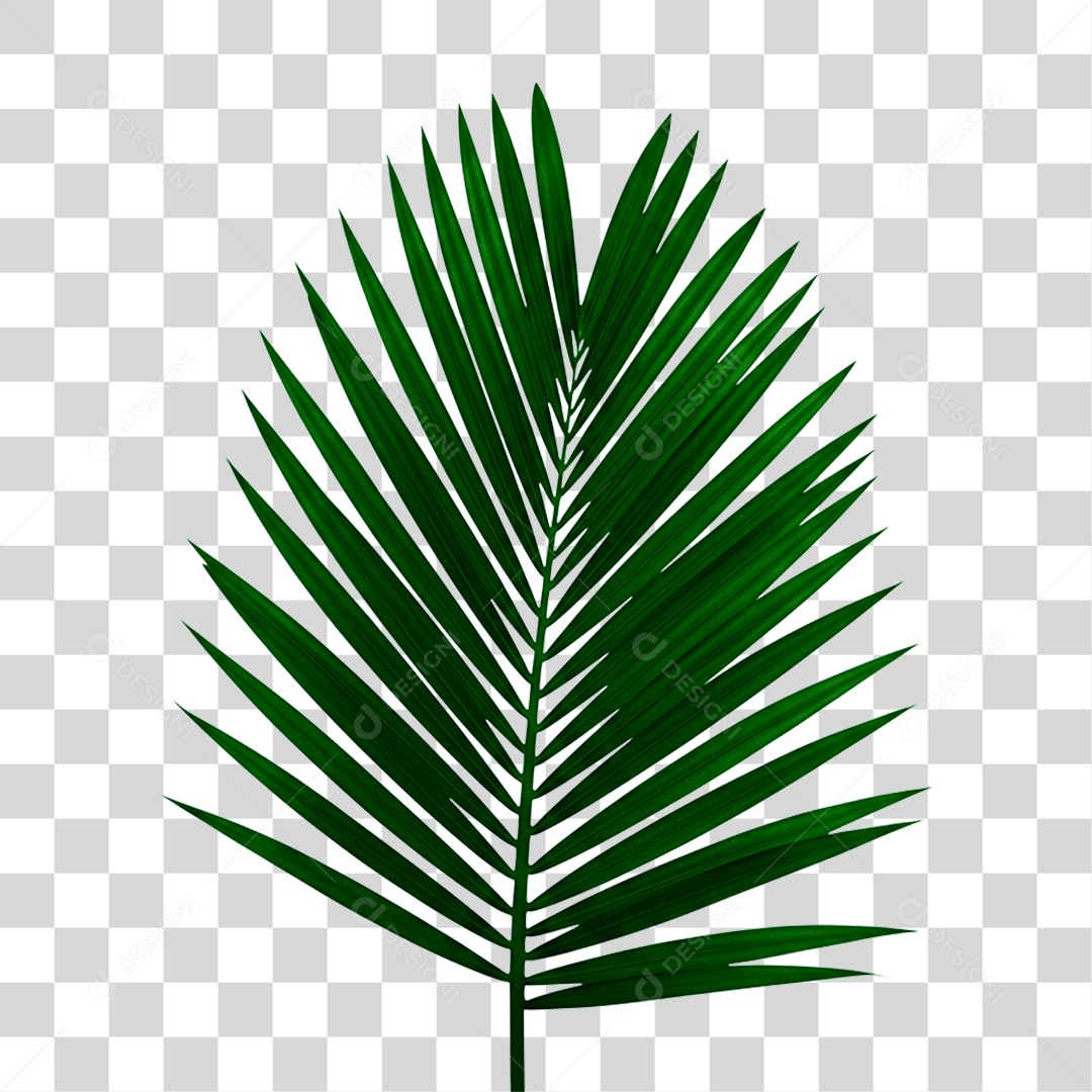 Palha Verde PNG Transparente