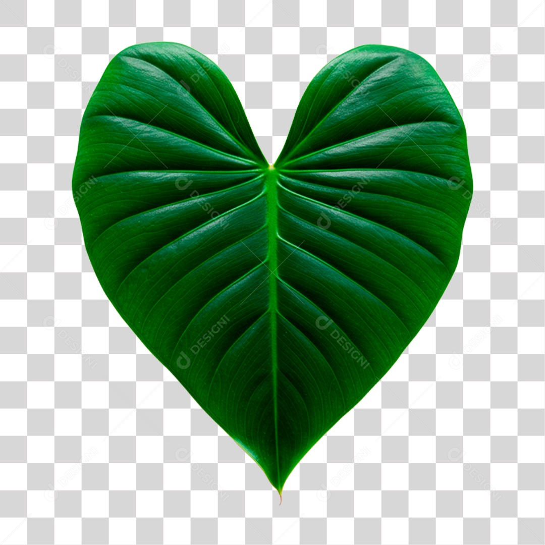 Transparent PNG Green Leaf