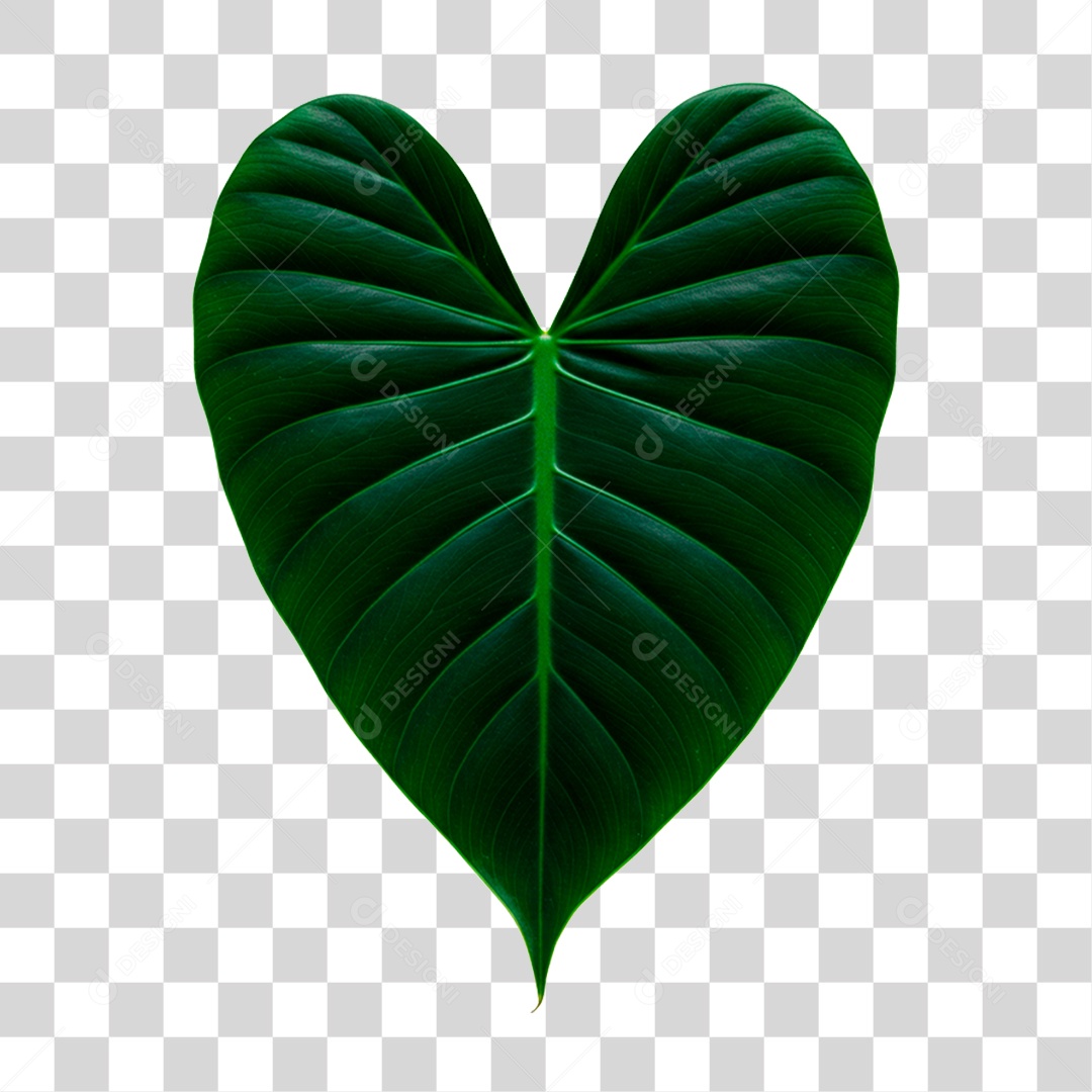 Folha Verde PNG Transparente