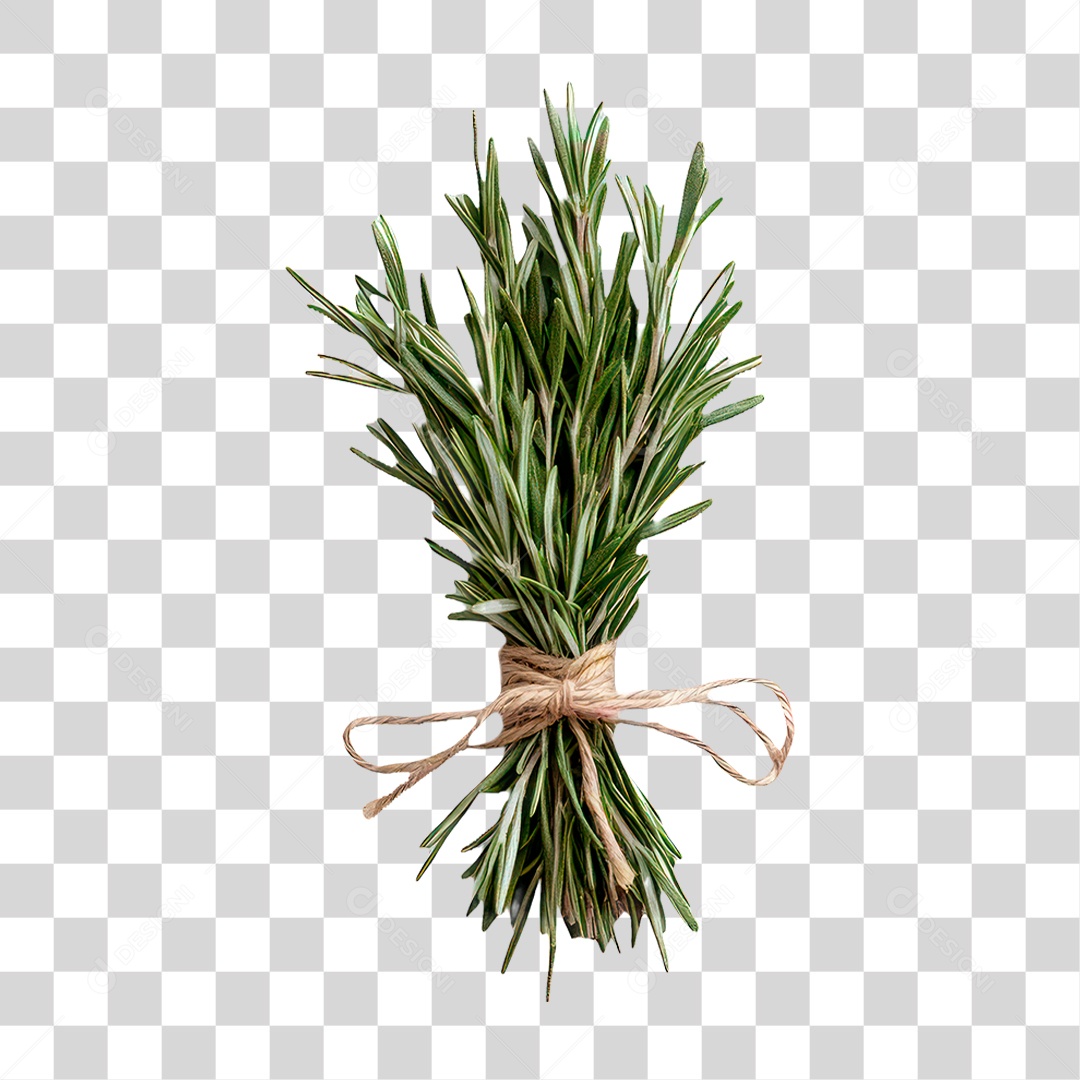 Alecrim PNG Transparente