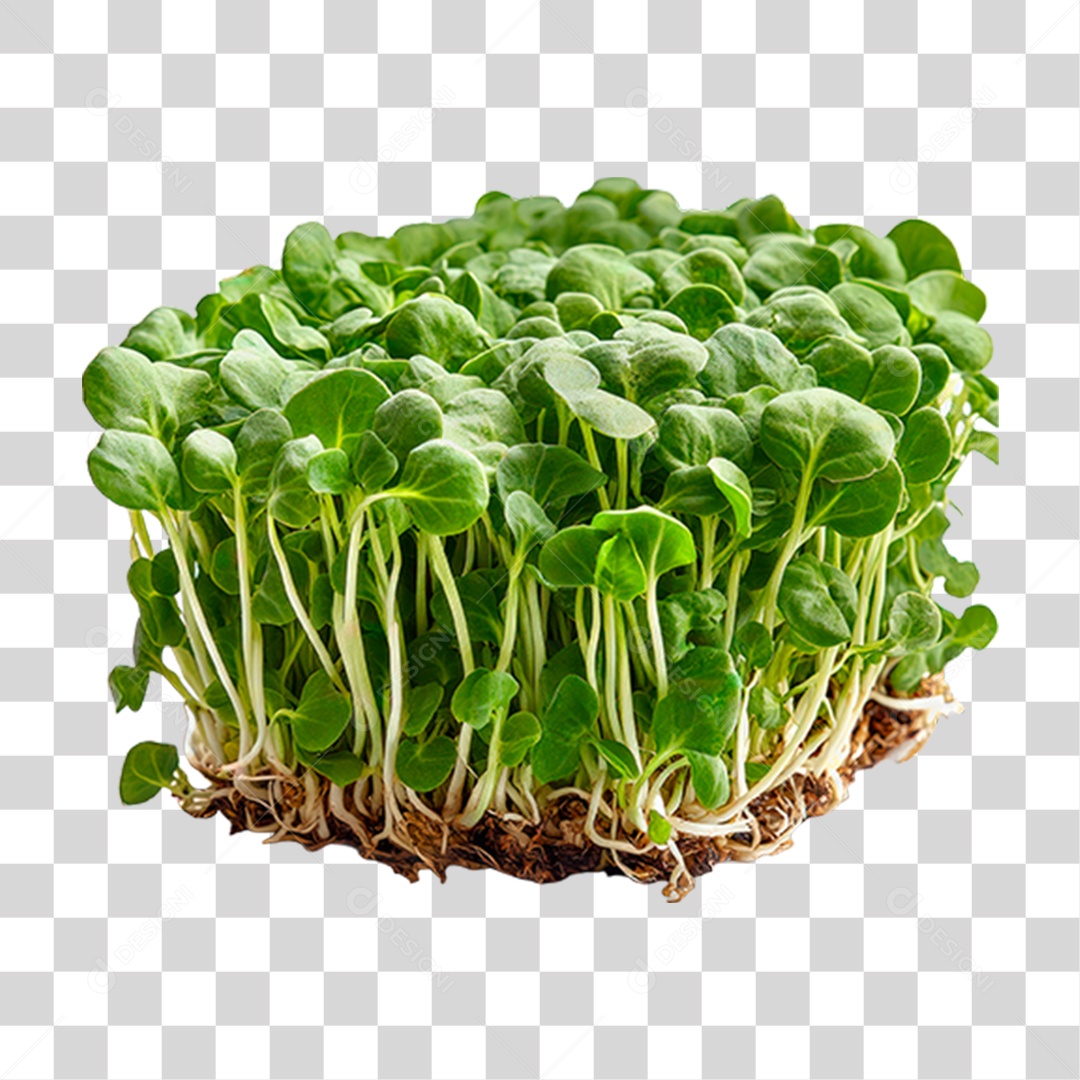 Agrião PNG Transparente