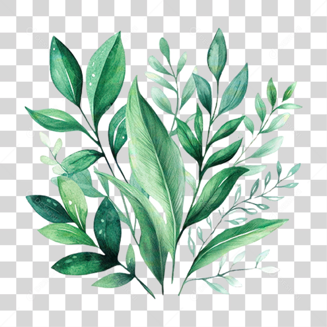 Planta PNG Transparente