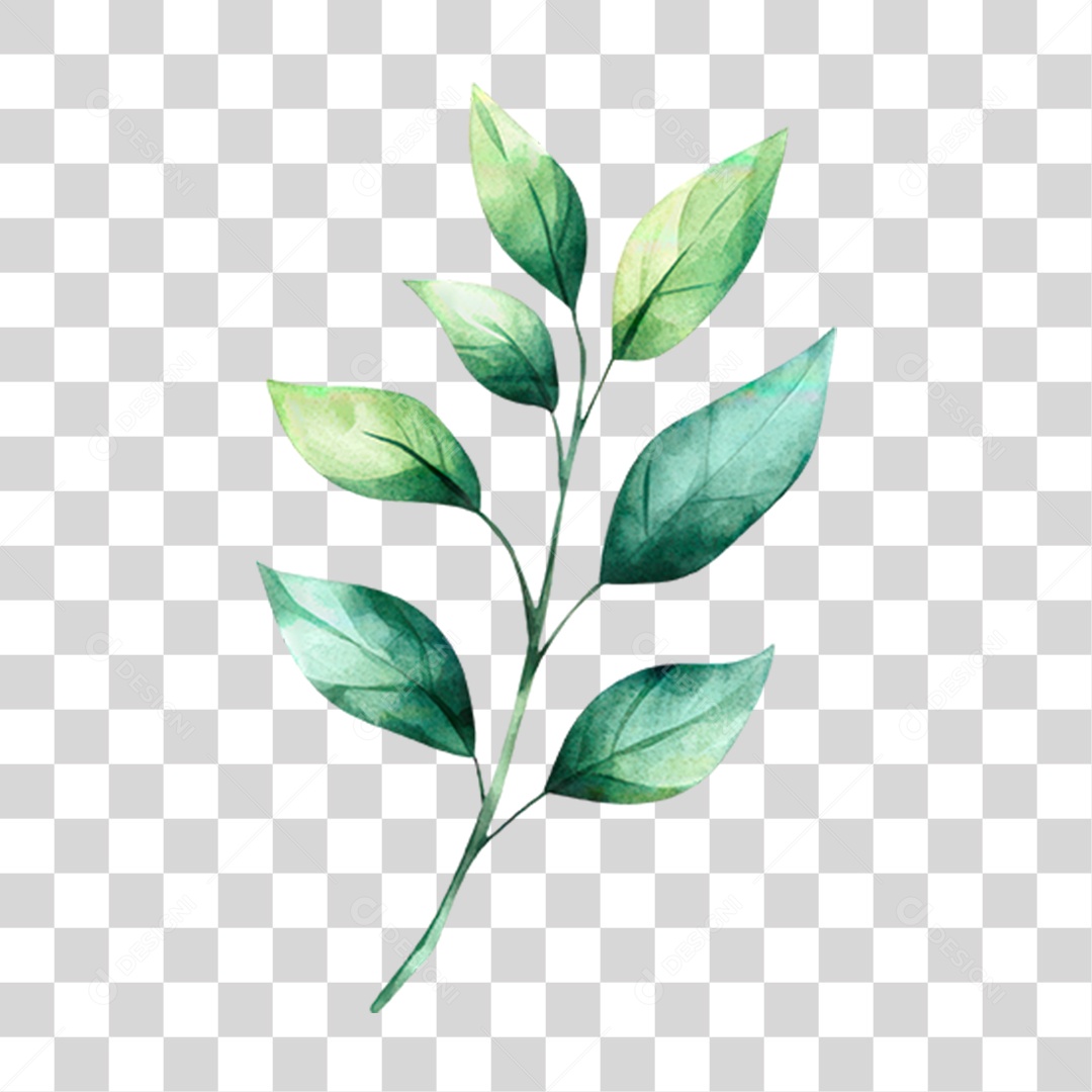 Planta PNG Transparente
