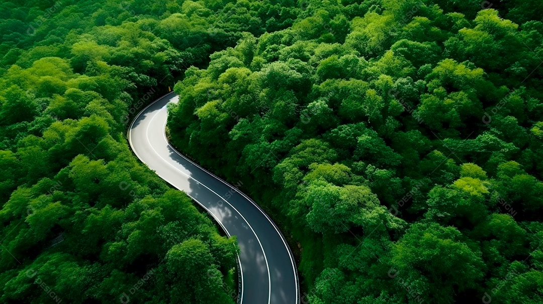 Vista aérea de uma estrada verde curva