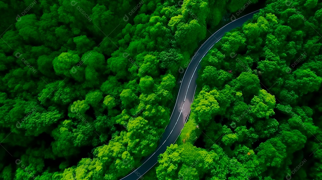 Vista aérea de uma estrada verde curva