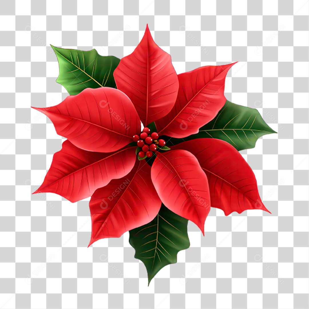 Flores PNG Transparente