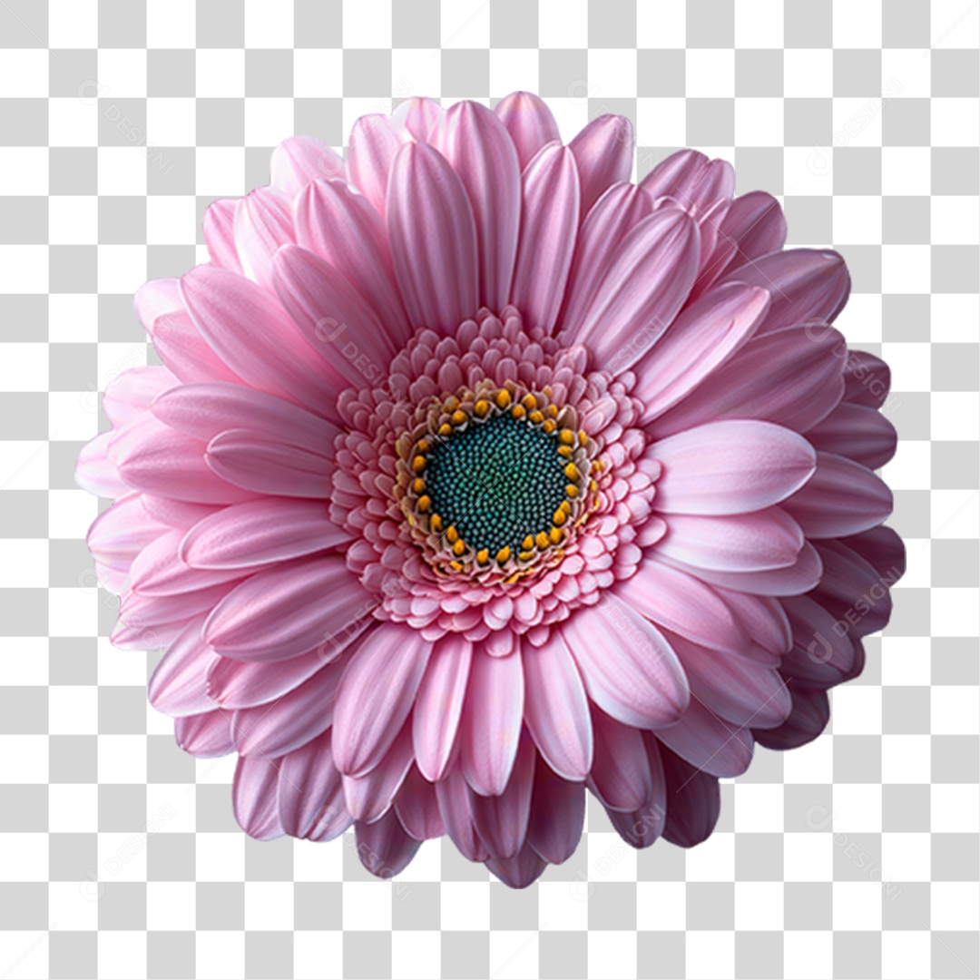 Flor PNG Transparente