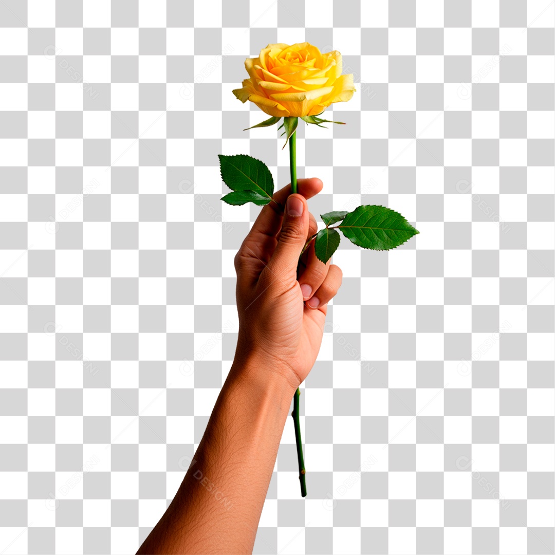 Mão Segurando Flor PNG Transparente