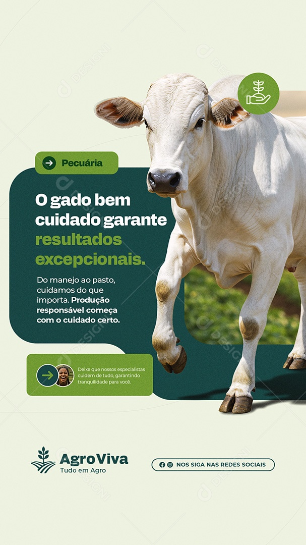 Story Agronegócio Pecuária O Gado Bem Cuidado Garanto Social Media PSD Editável
