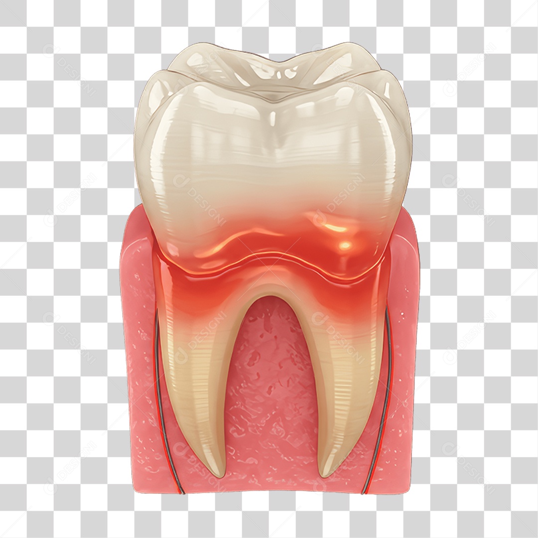 Elemento 3D Dente PNG Transparente