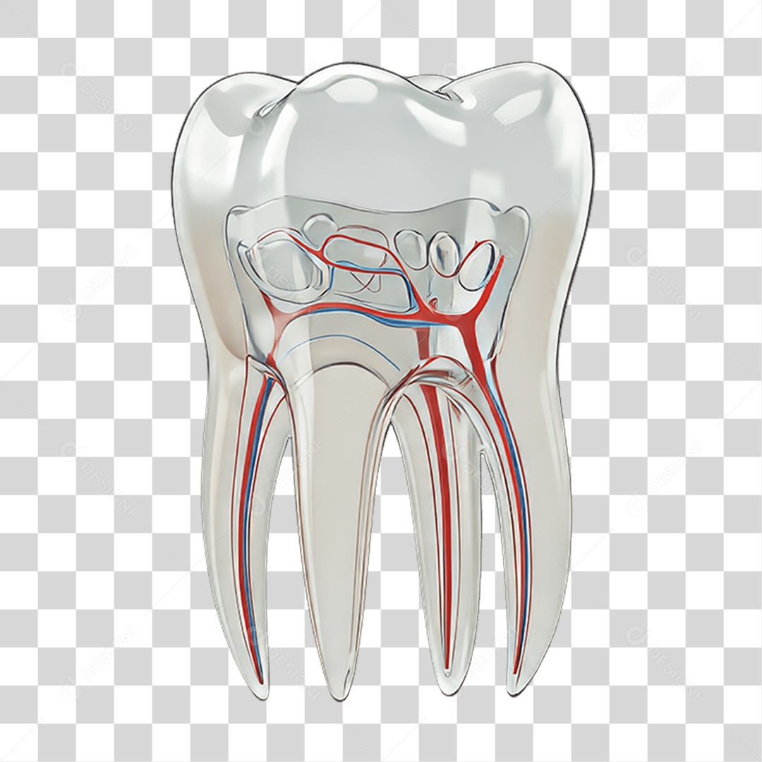 Elemento 3D Dente PNG Transparente