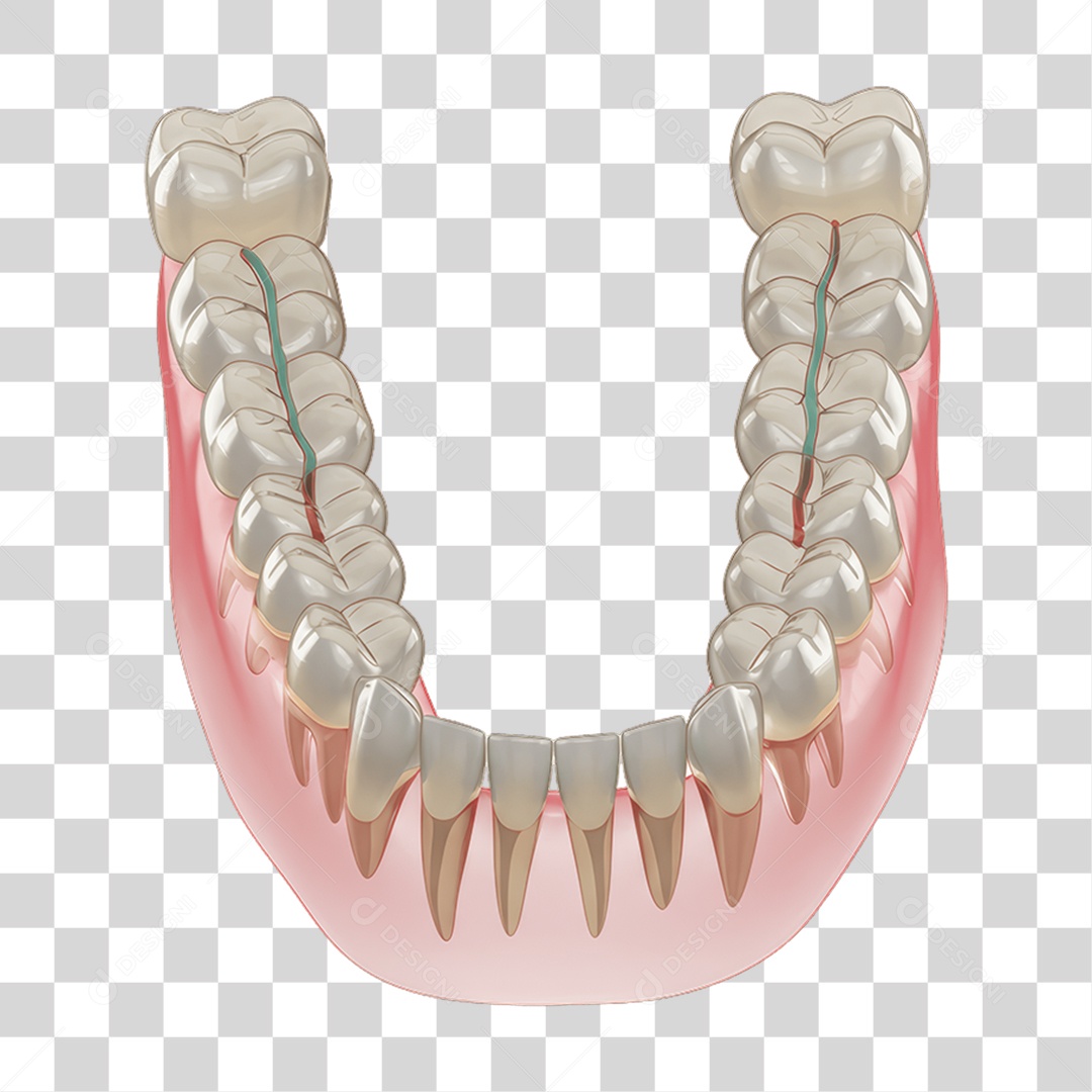 Elemento 3D Dentadura PNG Transparente