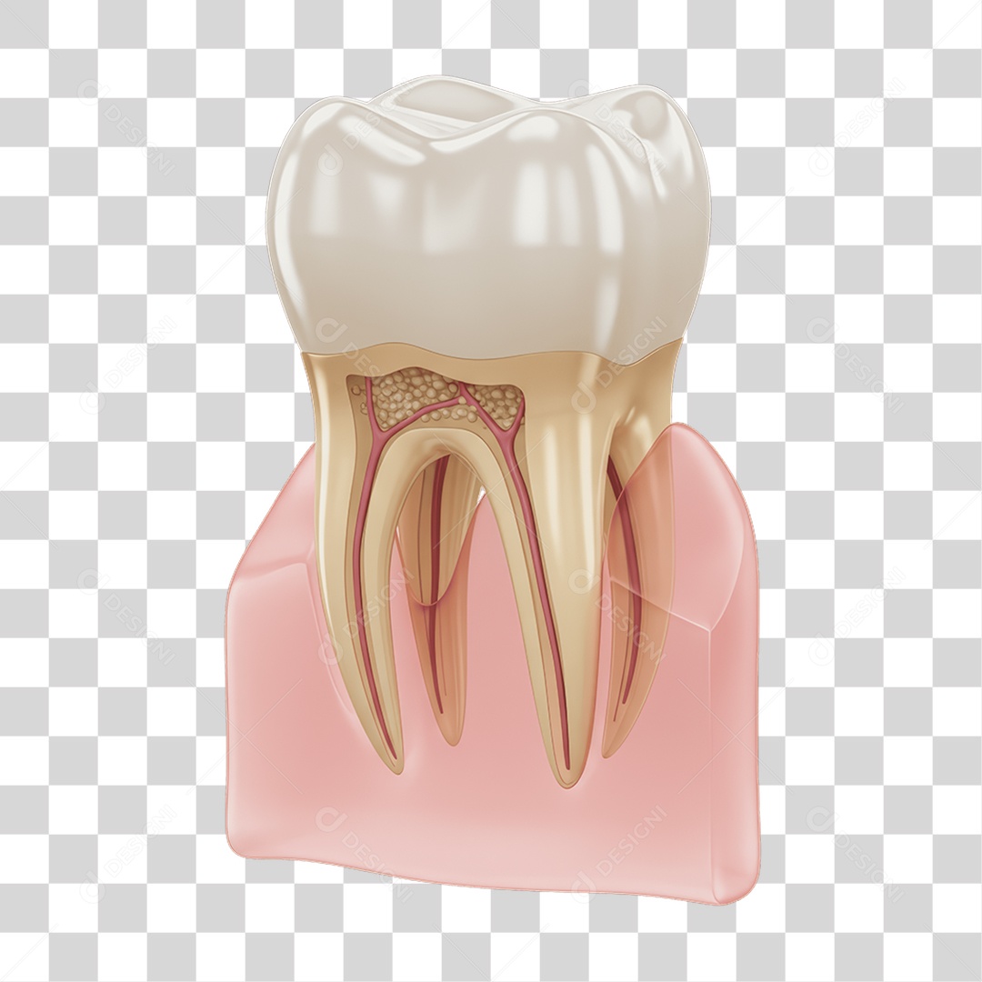 Elemento 3D Dente PNG Transparente