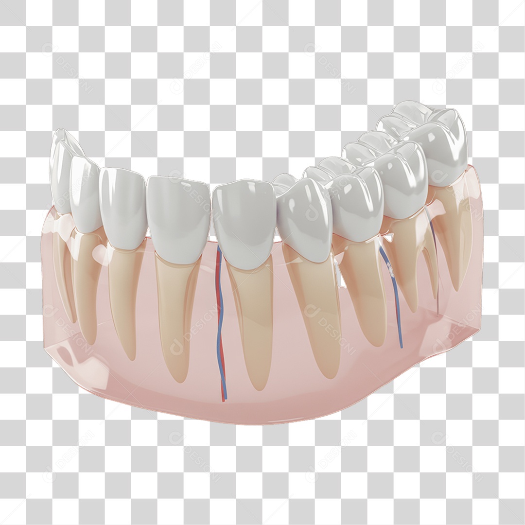 Elemento 3D Dentadura PNG Transparente