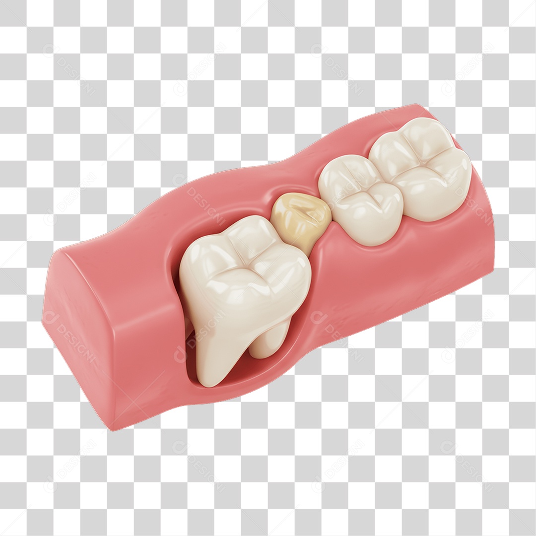 Transparent PNG Tooth 3D Element