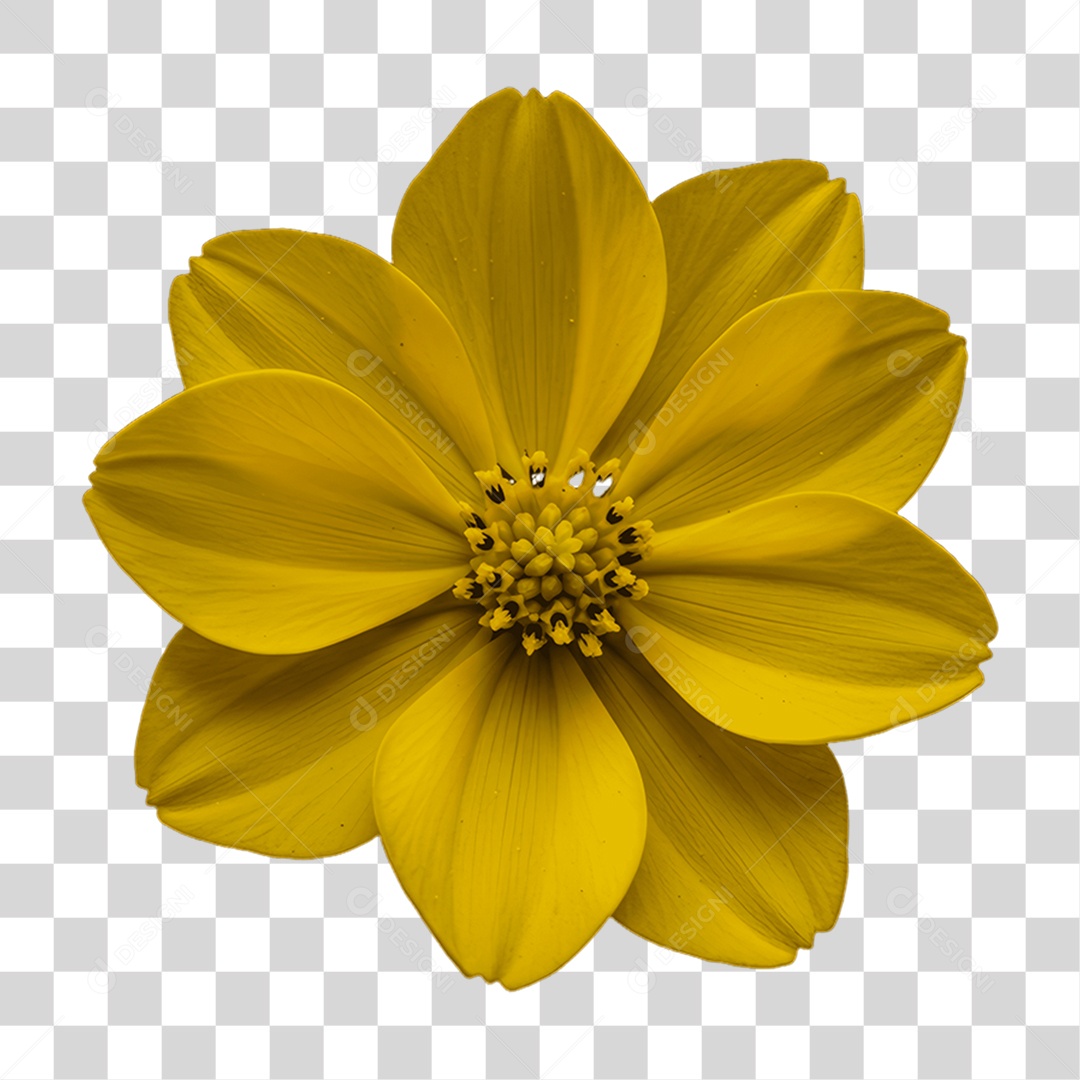 Plantas FLores PNG Transparente