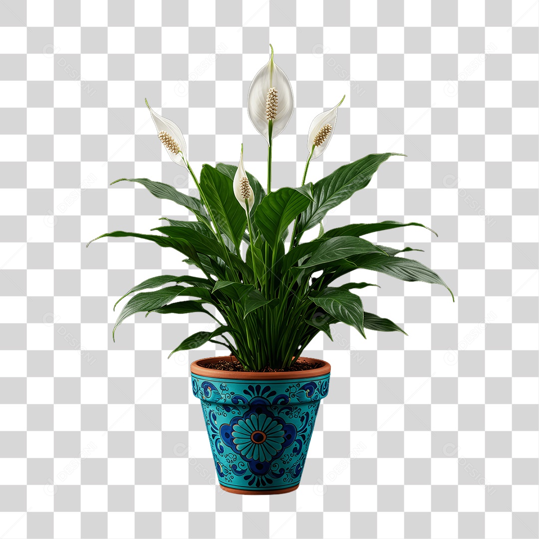 Plantas Folhas PNG Transparente