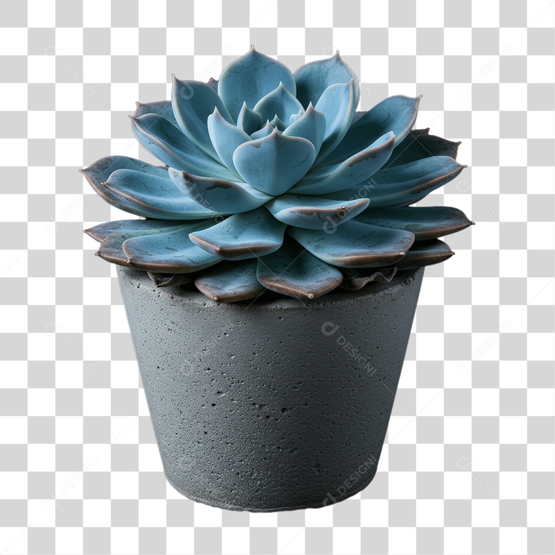 Plantas Folhas PNG Transparente