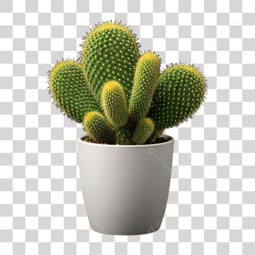 Plantas Folhas PNG Transparente