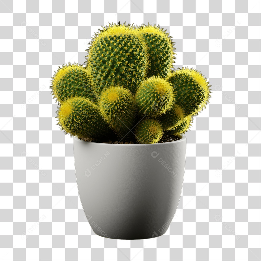 Plantas Folhas PNG Transparente