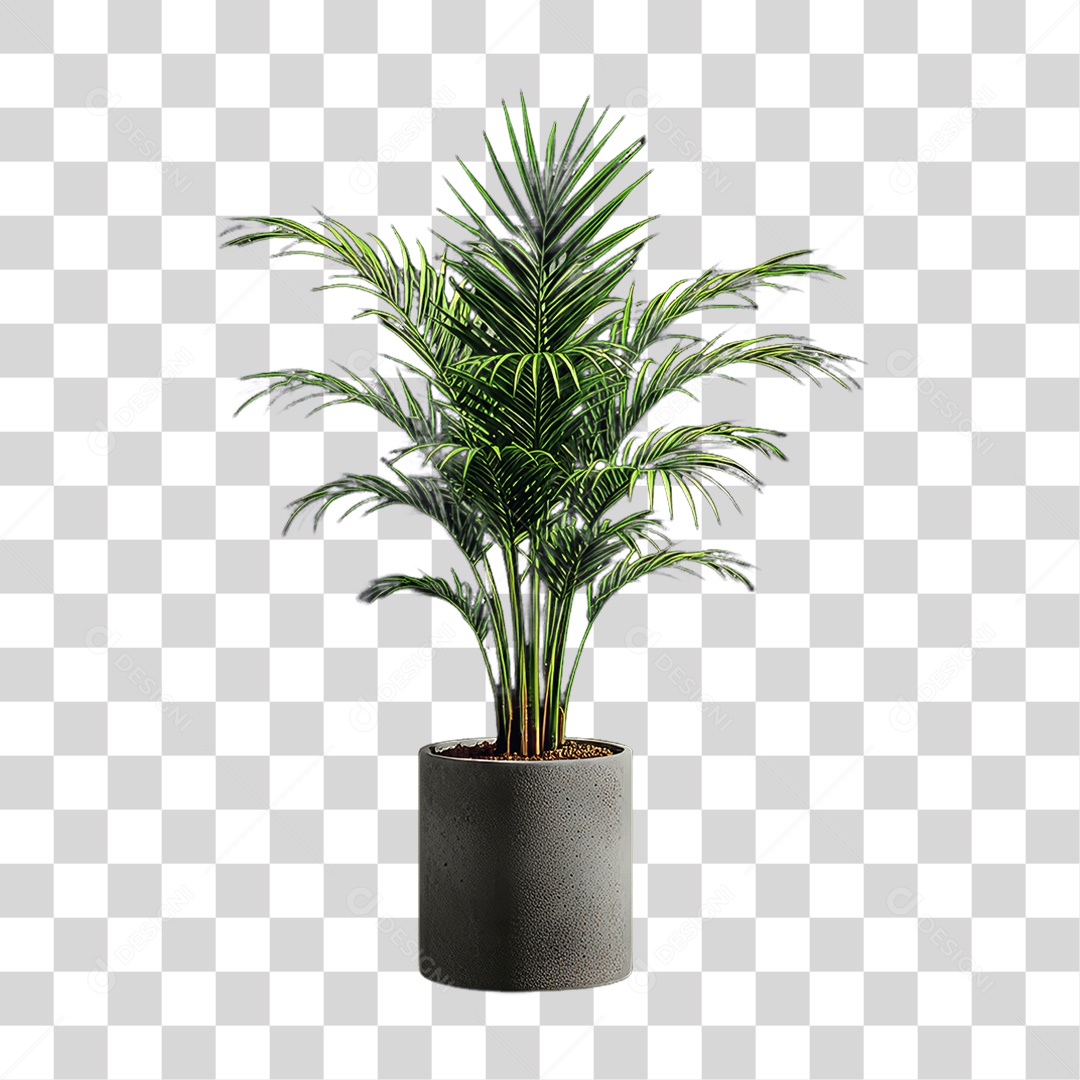 Plantas Folhas PNG Transparente