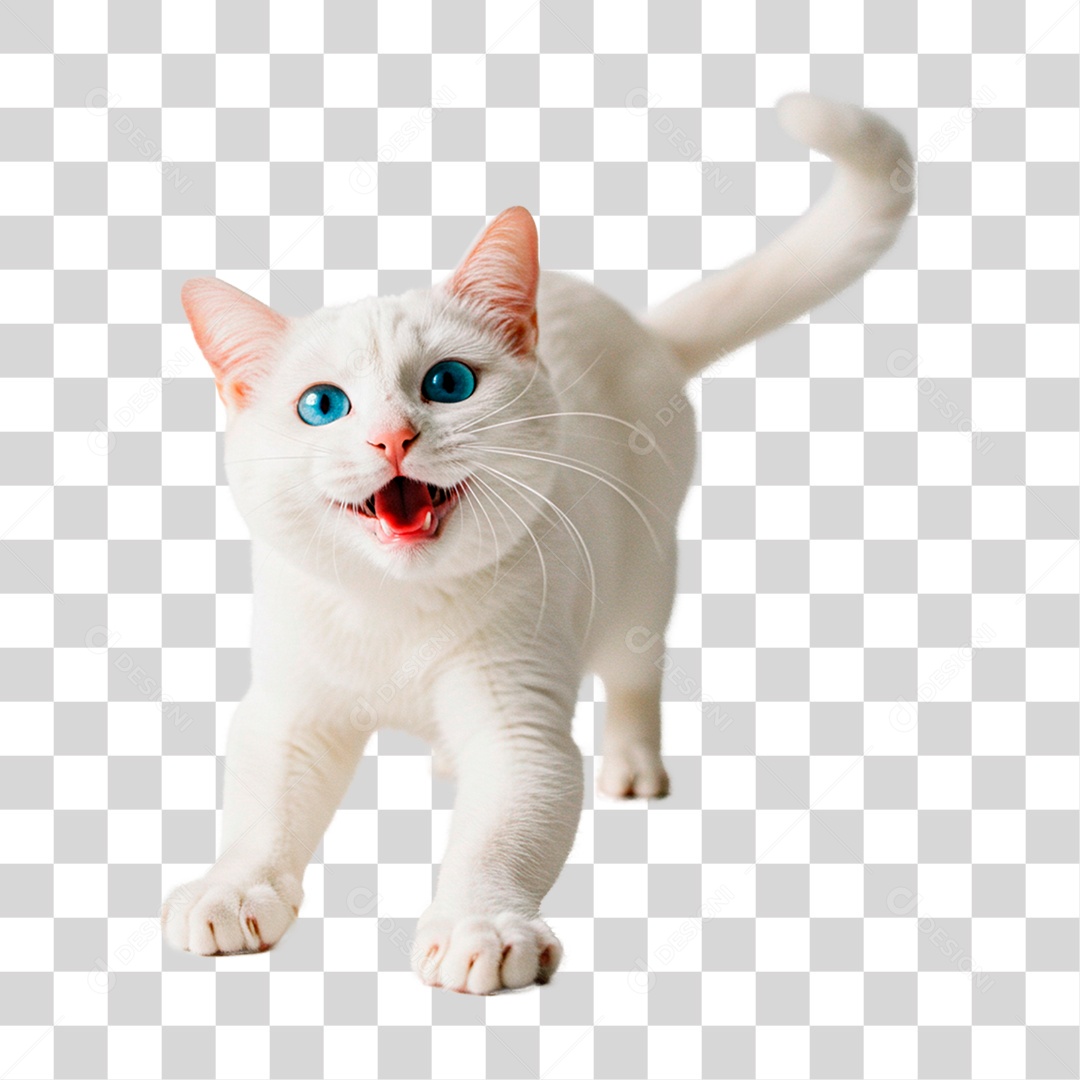 Gato PNG Transparente