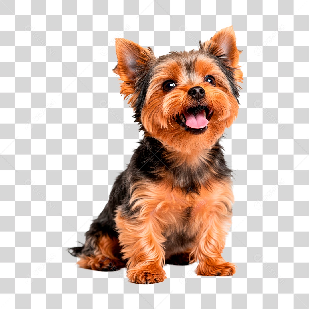 Cachorro PNG Transparente