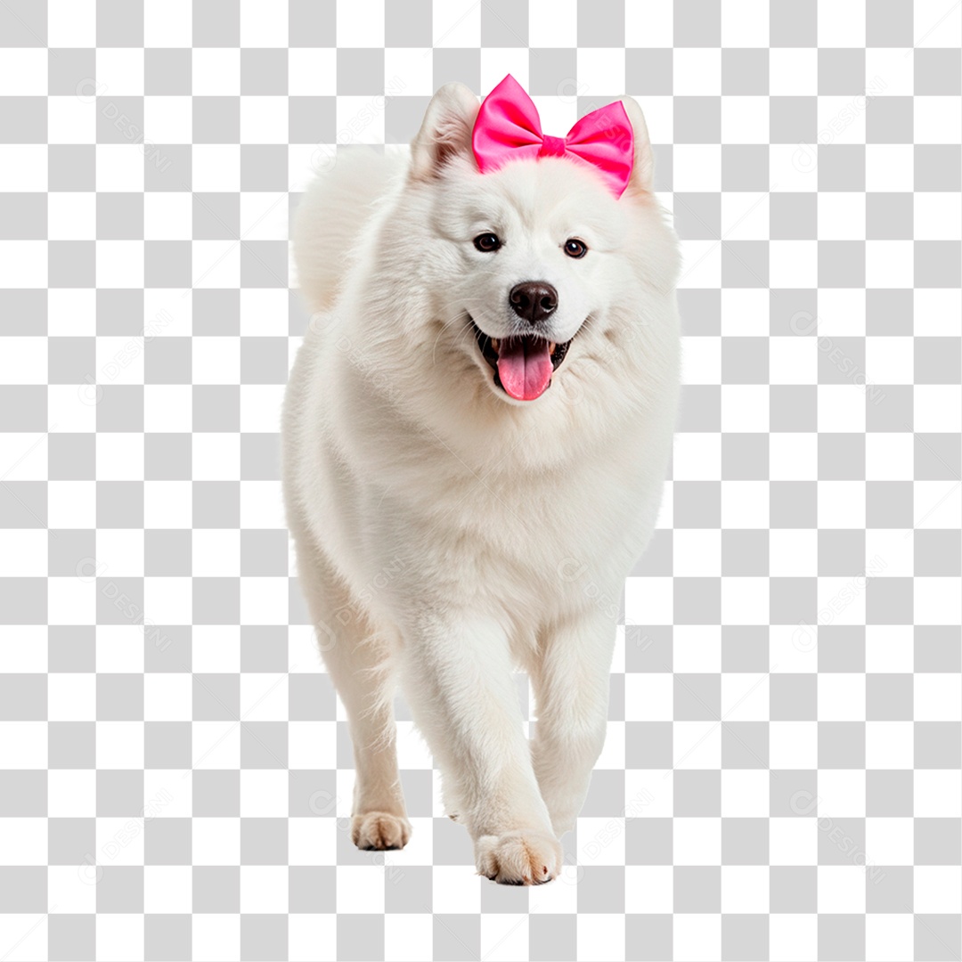 Cachorro PNG Transparente