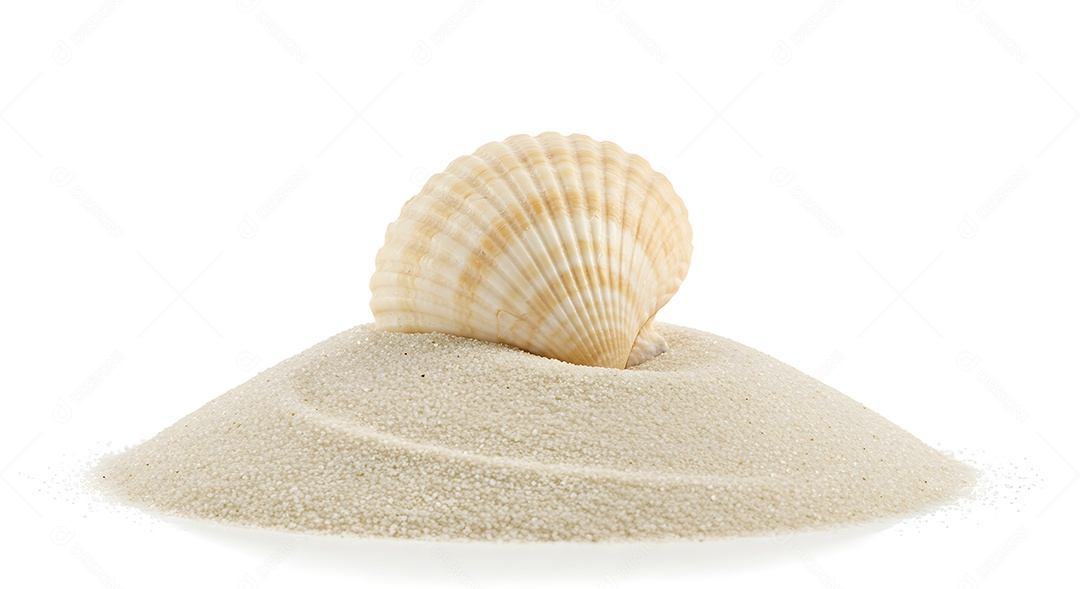 Imagem exibe uma concha sobre um monte de areia