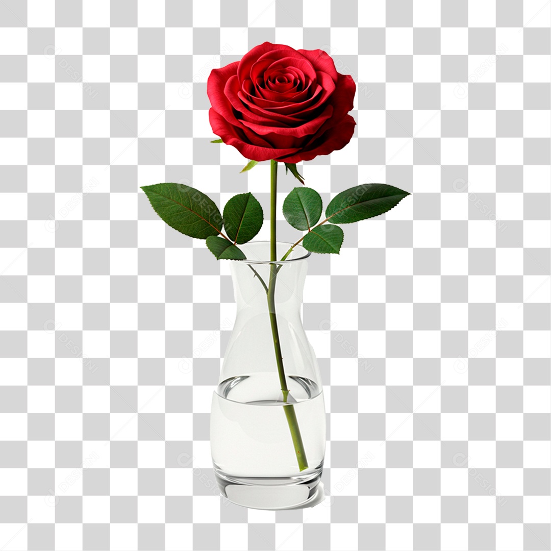 Rosa Vermelha PNG Transparente