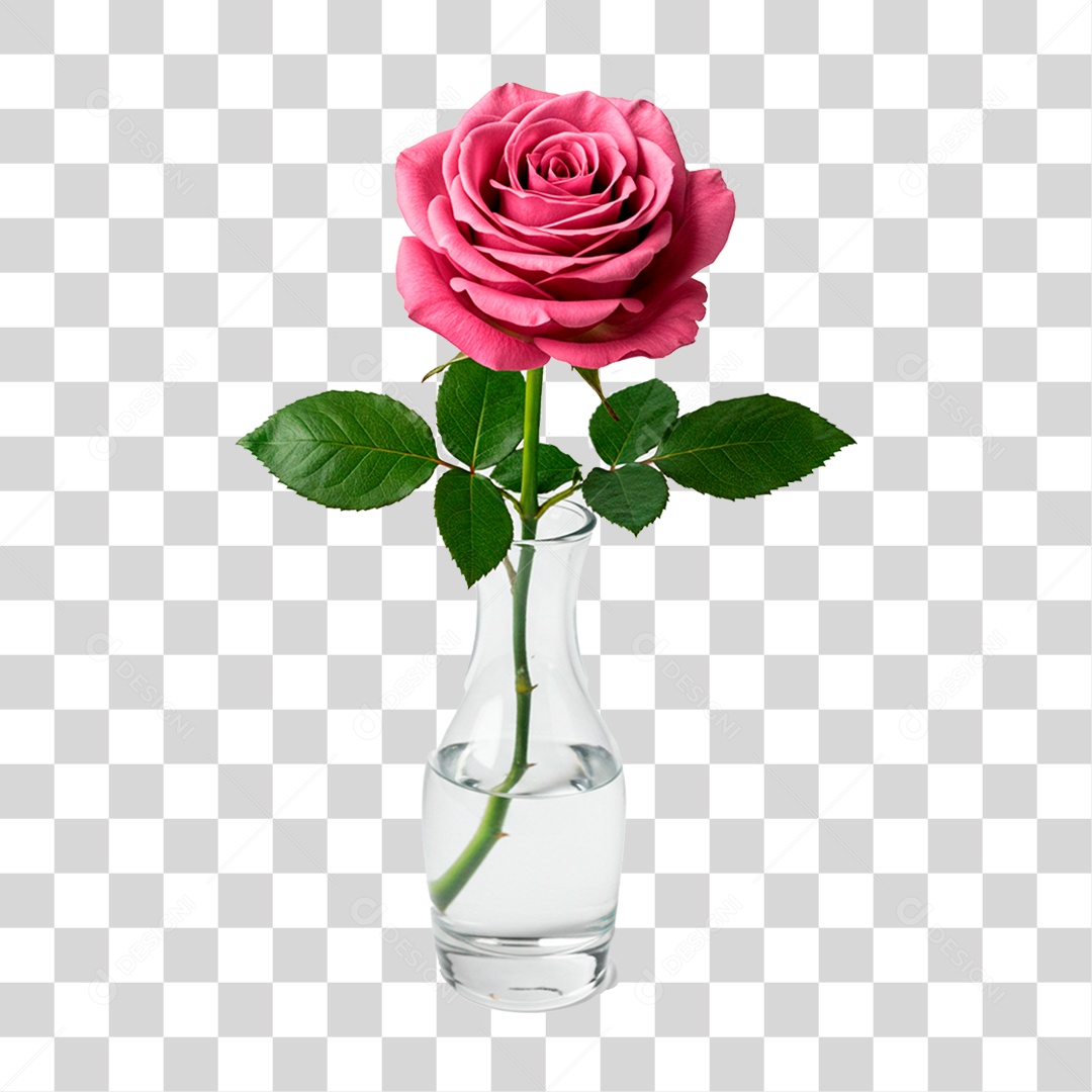 Rosa PNG Transparente