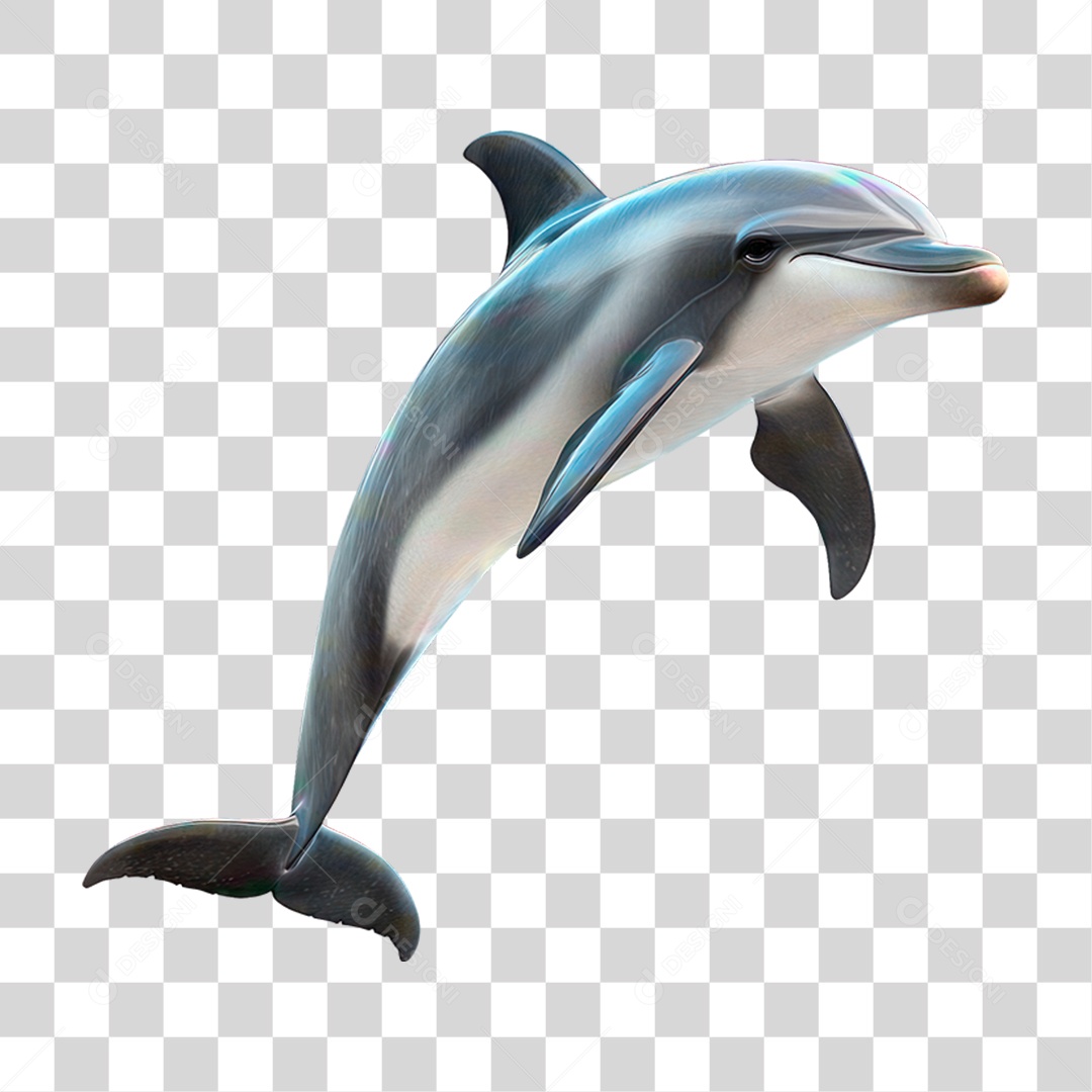 Golfinho PNG Transparente