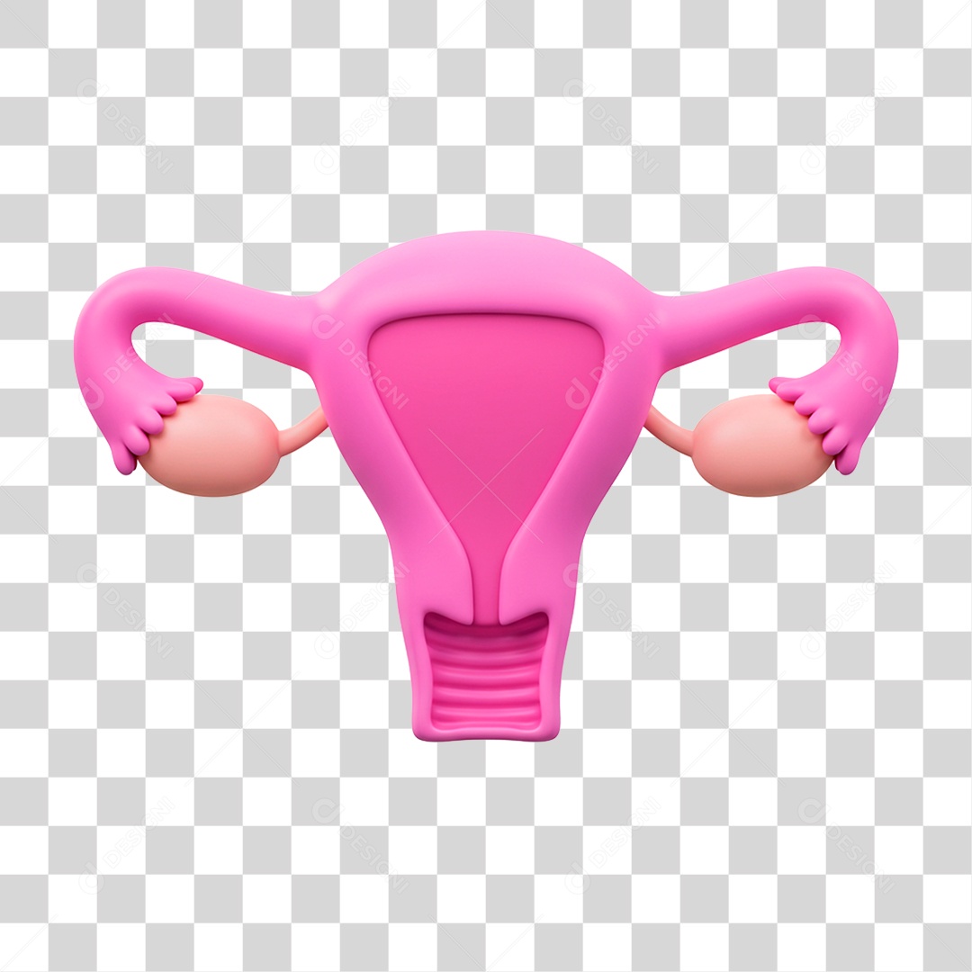 Útero PNG Transparente
