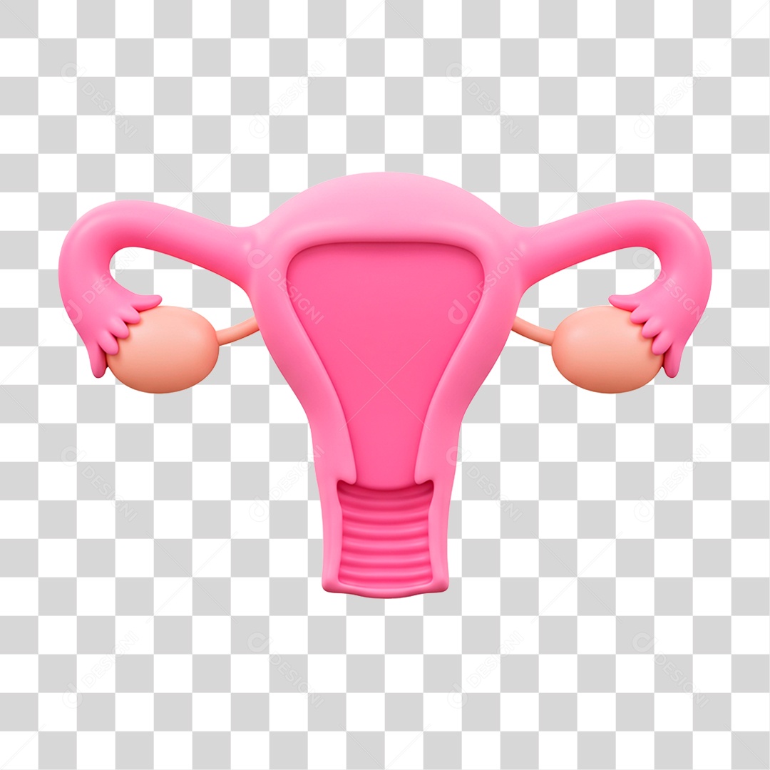 Útero PNG Transparente