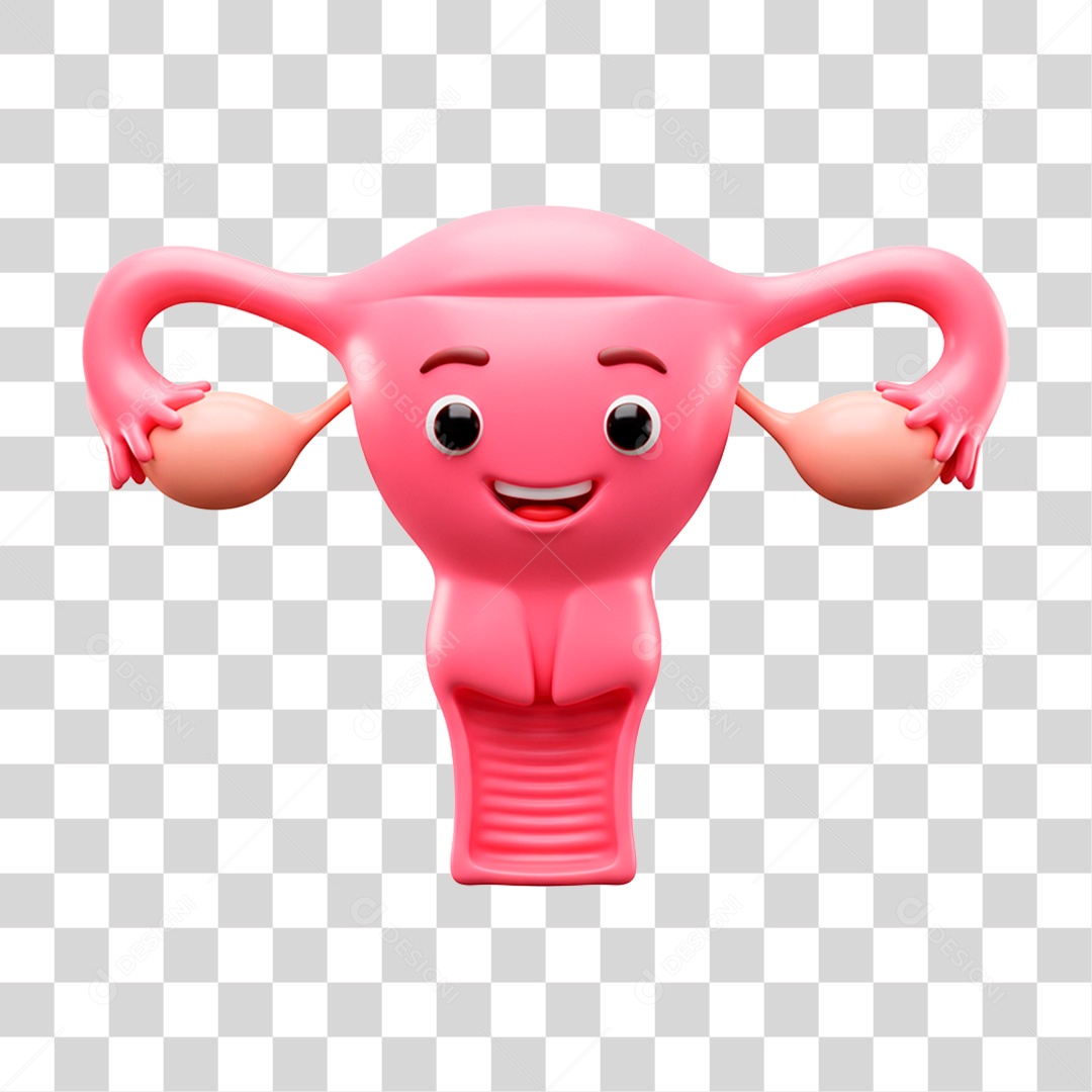 Útero PNG Transparente