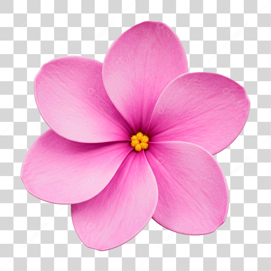 Flor Rosa PNG Transparente