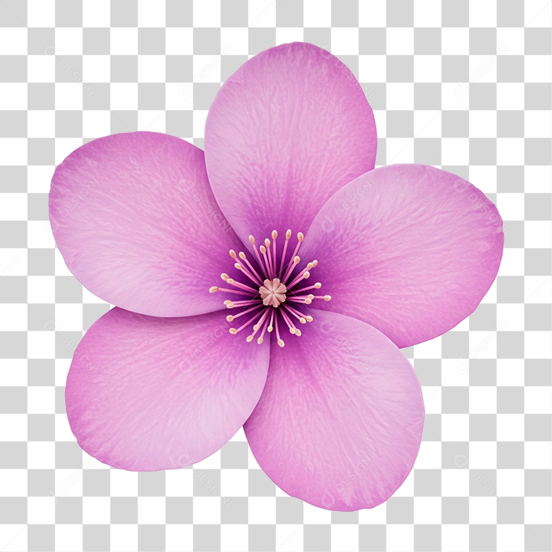 Flor Roxa PNG Transparente