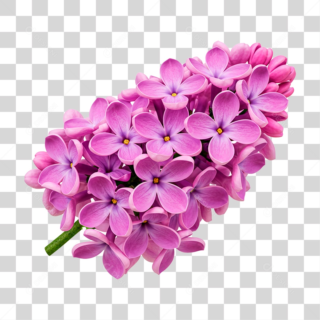 Flor Roxa PNG Transparente