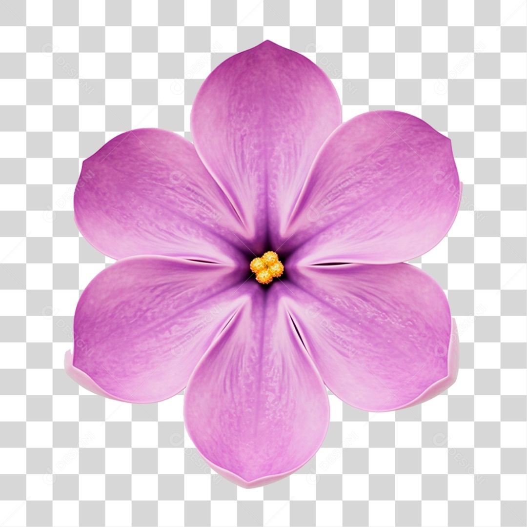 Flor Roxa PNG Transparente