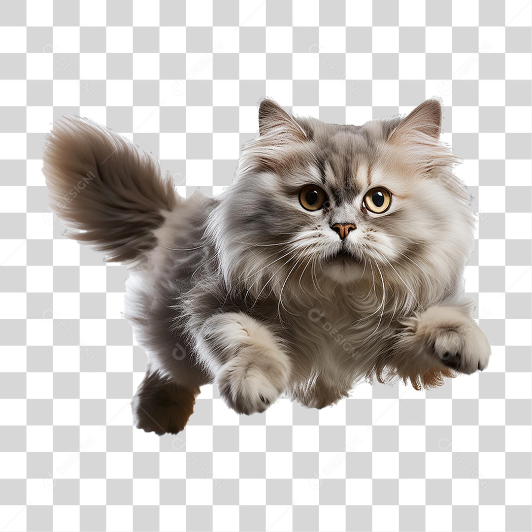 Pet Animal de Estimação Gato PNG Transparente