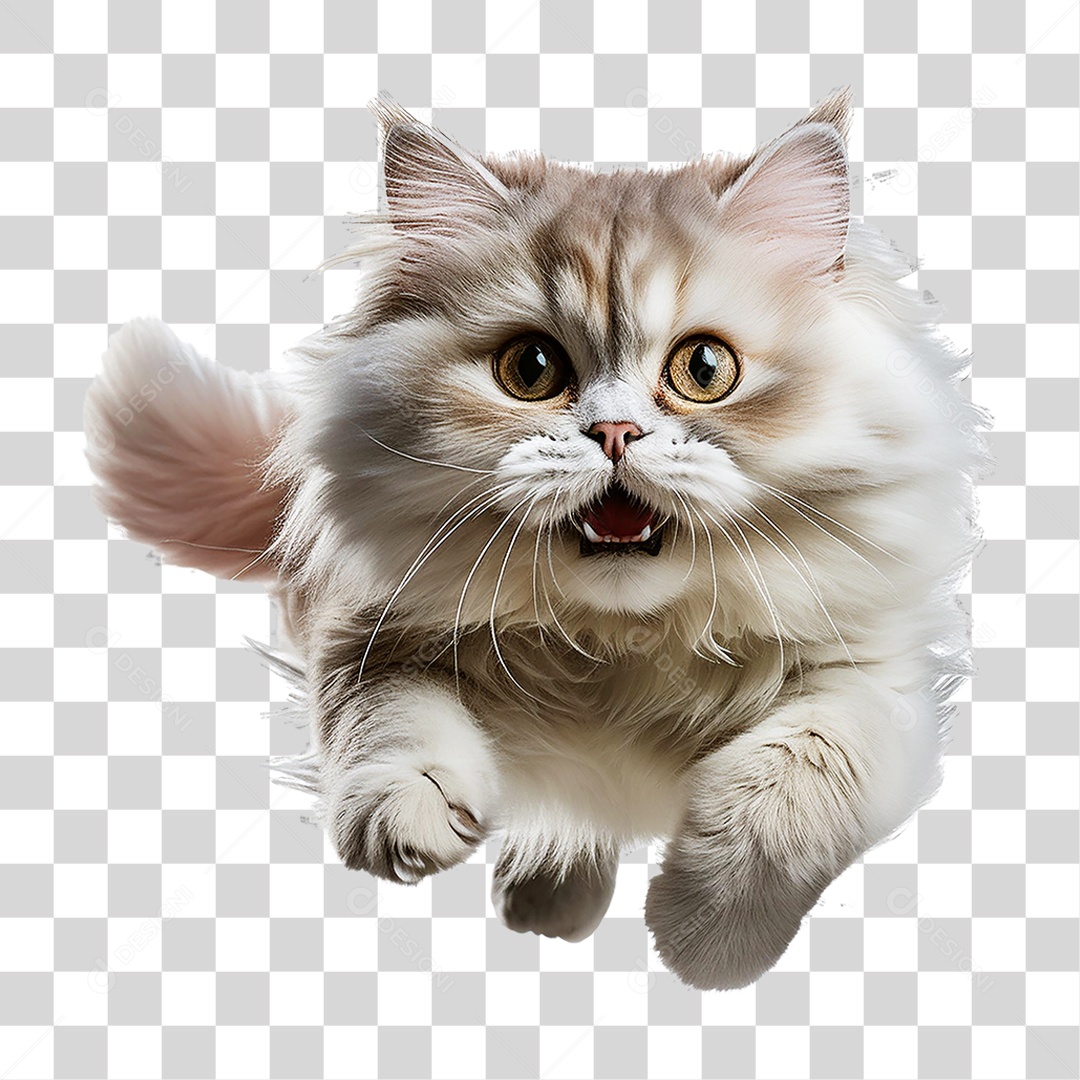 Pet Animal de Estimação Gato PNG Transparente